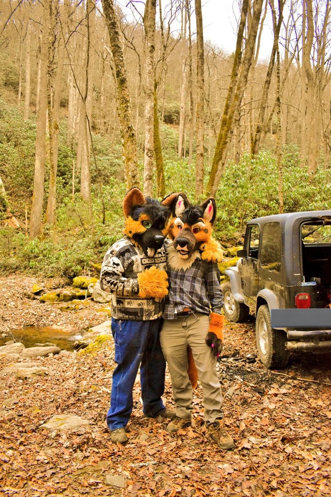 Paisley shep🔜Bewhiskered 2026! tweet media