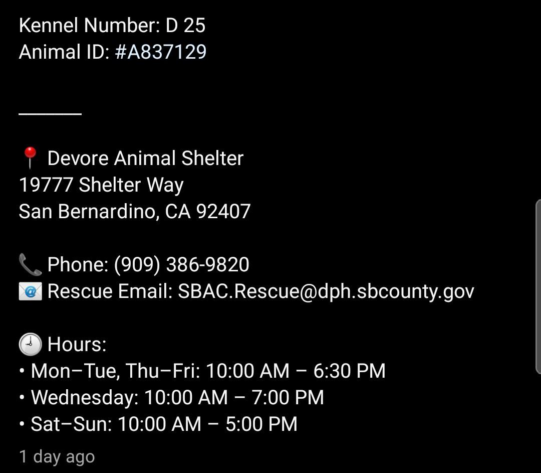 8415_n's tweet image. CASTOR #A837129
2yo.#Rottweiler #rottie #rottweilerrescue #rottierescue
Calm, friendly demeanor in a hostile place, alert, eager to connect, steady presence.
#Devore #SanBernardino #LA #CA #SoCal #Norcal #pnw
#Pledge
#foster at NO cost‼
#adopt anywhere 🇺🇲
instagram.com/reel/DUr_zHoAh…