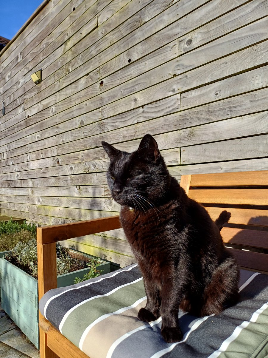 Lisa J Allen tweet media