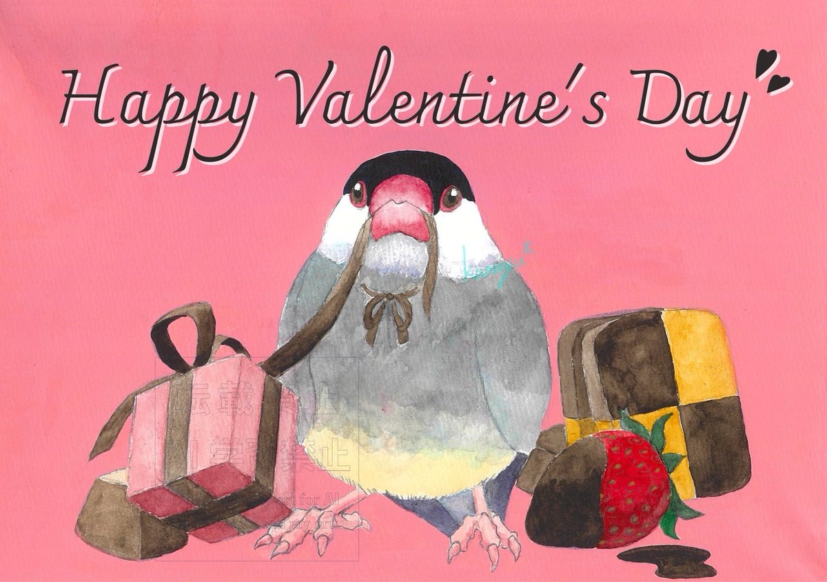 Happy Valentine's Day〜🍫
#バレンタイン #文鳥 #透明水彩