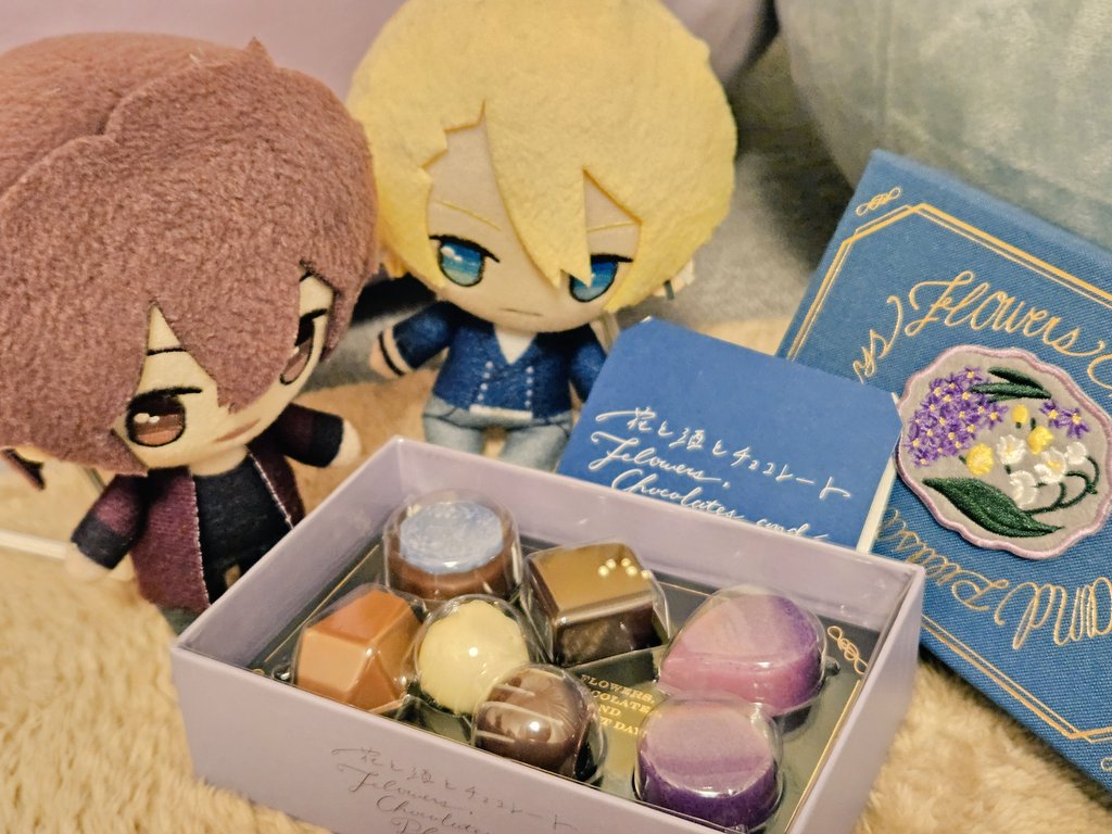 我が家のこうぬいちゃんからまもぬいへのバレンタイン～💜💙✨️