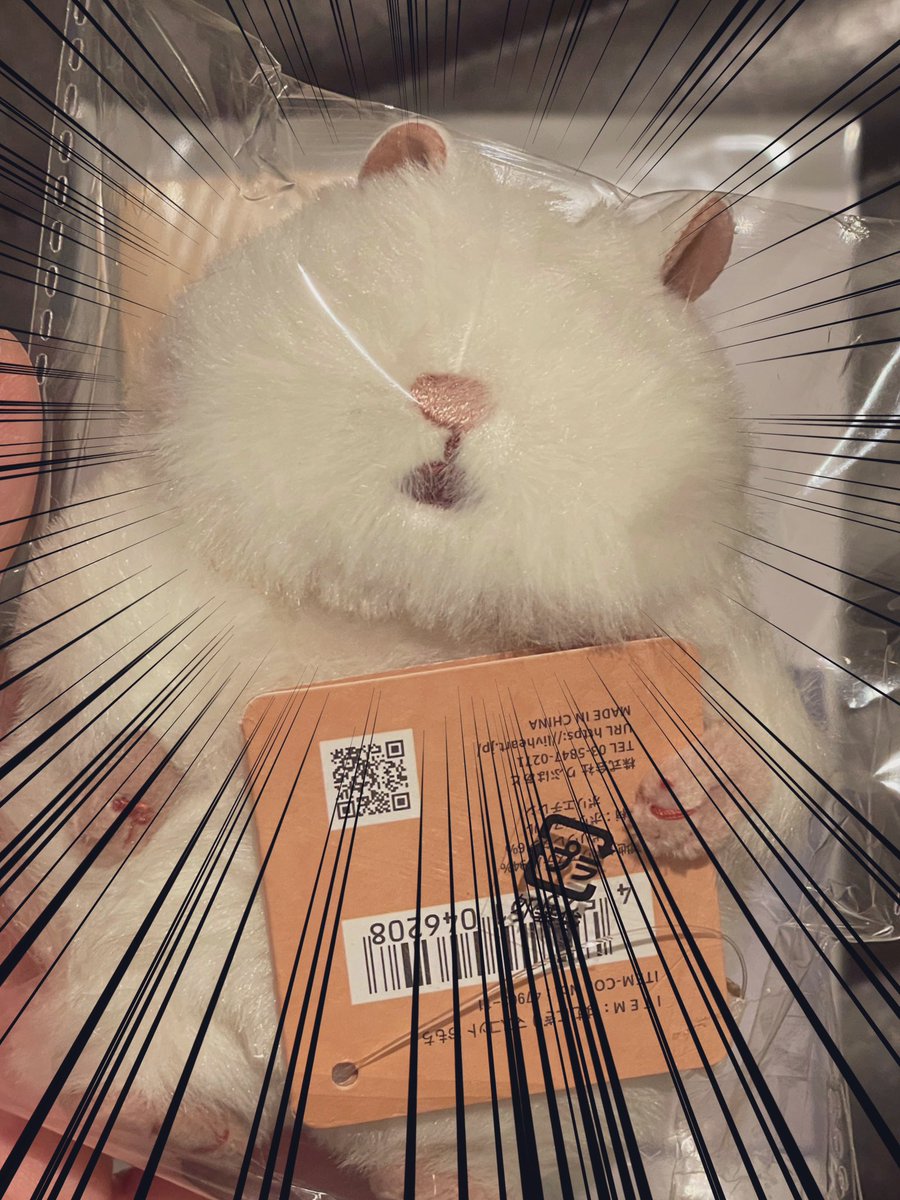 はむにぎりのおもち来てくれたけど
目どこ？！

#はむにぎり #りぶはあと #おもち 
#ぬい活