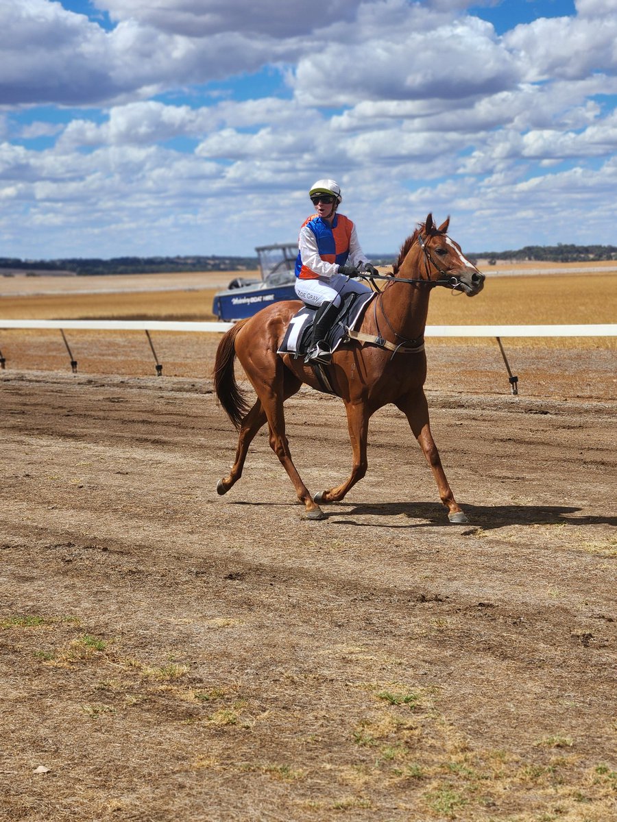 Race 2 at Wandecla and Chest Out Swagger storms home to win to give Zoe Grey an early riding double trained by Aaron Pateman #wandecla