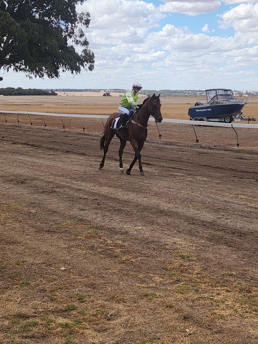 First at Wandecla down with Zoe Grey riding her first winner on Prince Vitality for Darren Pateman #wandecla