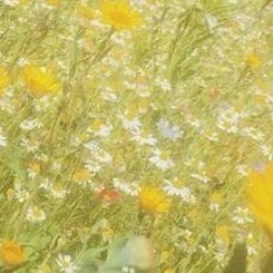td_65314792's tweet photo. 【🦋】#promotwt #PMOC #PMRP
■■■■■■■▪︎

[𝐋𝐂𝐁 𝟑𝟐] 𝘌𝘵𝘪𝘦𝘯𝘯𝘦 𝘓𝘢𝘯𝘵𝘪𝘦𝘳 #lcb32 

— "Five-hundred and fifty four meters deep into the Voreux. If it snaps, it's a matter of life and death."

⛏️ https://t.co/ICkQYOAuDh
【Quote End.】 https://t.co/9vEFXKgq2K