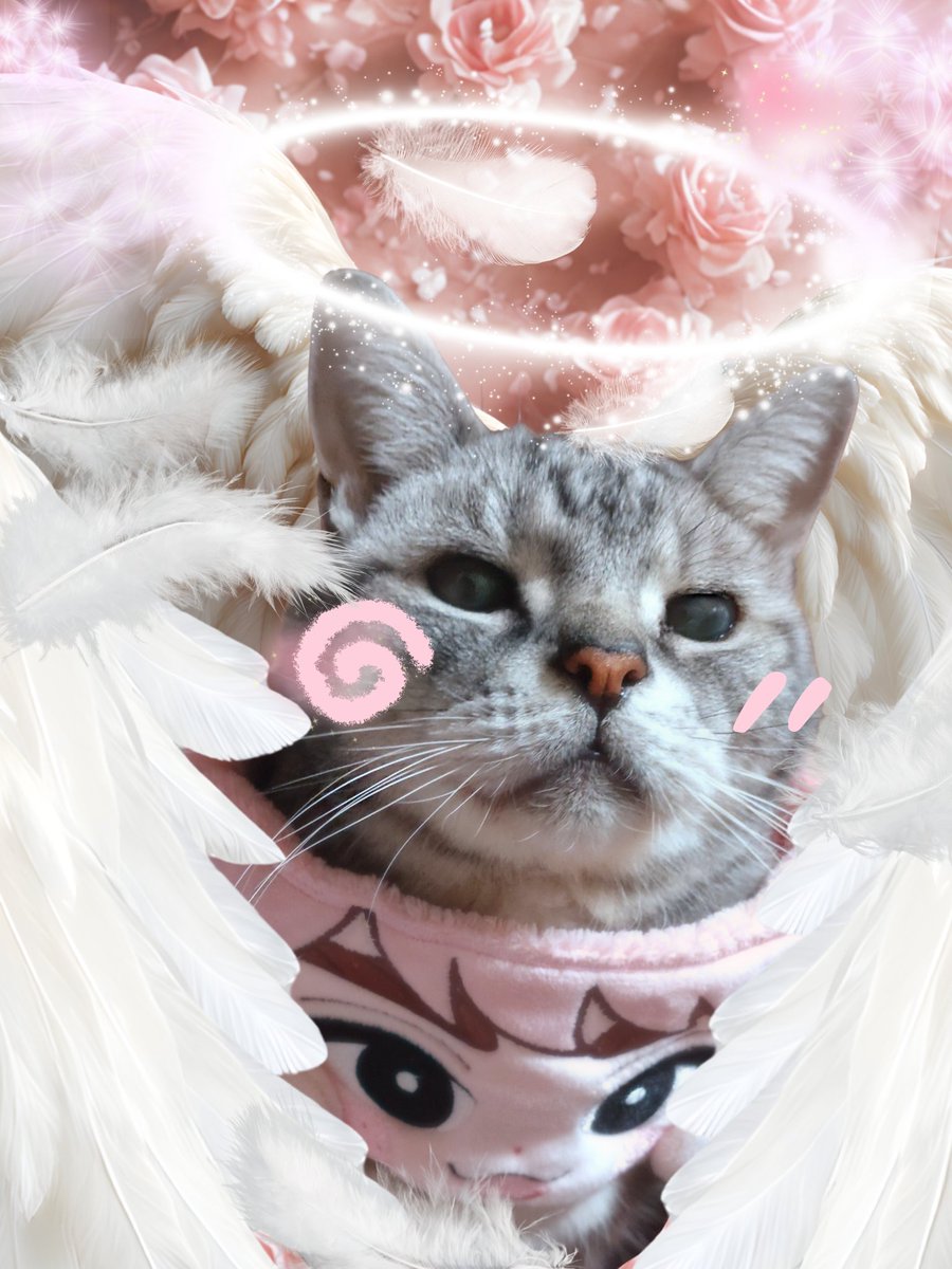 マテムり 楽しかた、ぉ ( *´꒳`*) ぁと言ぅ間に 終わちゃた… ぃーぱぃ