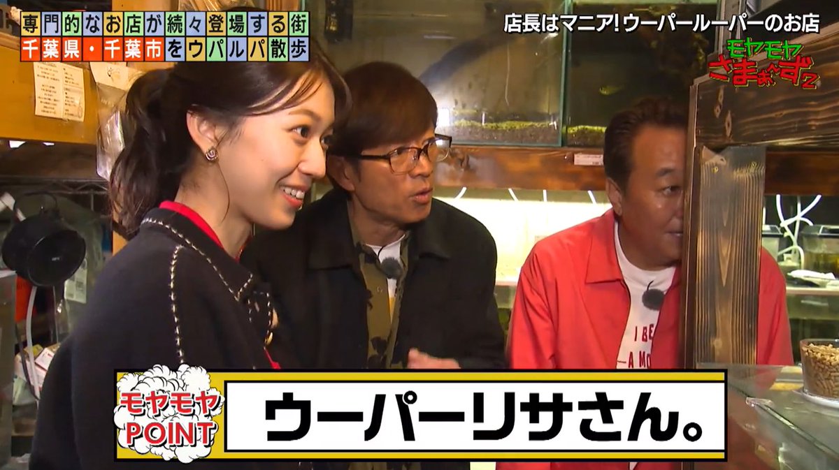 ウーパーリサ tweet media