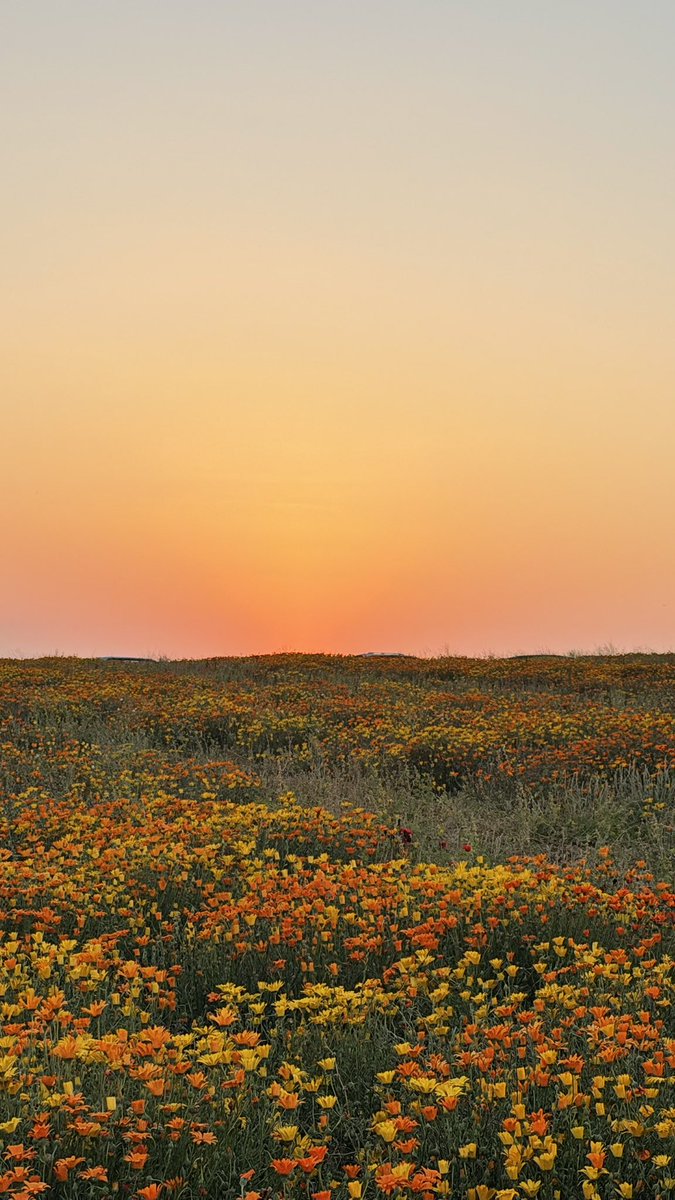 عبدالرحمن🚨 tweet media
