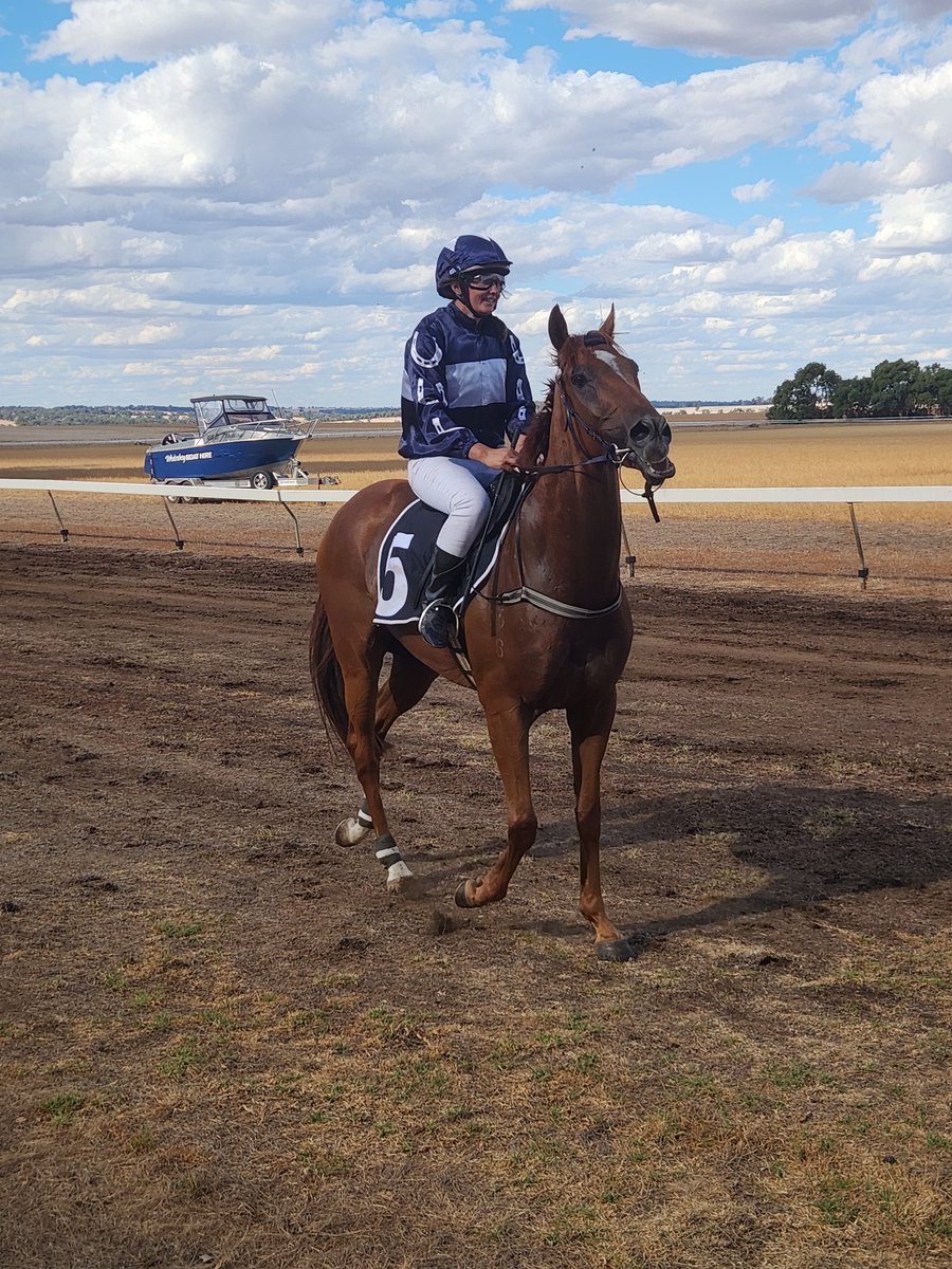 Race 5 the Cup with Magic Mikey ridden by trainer Ashley Woolett getting the verdict over Imposing Brook #wandecla