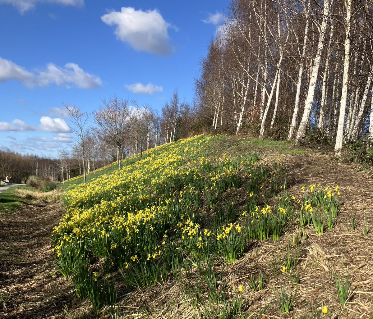 Alison Archibald tweet media