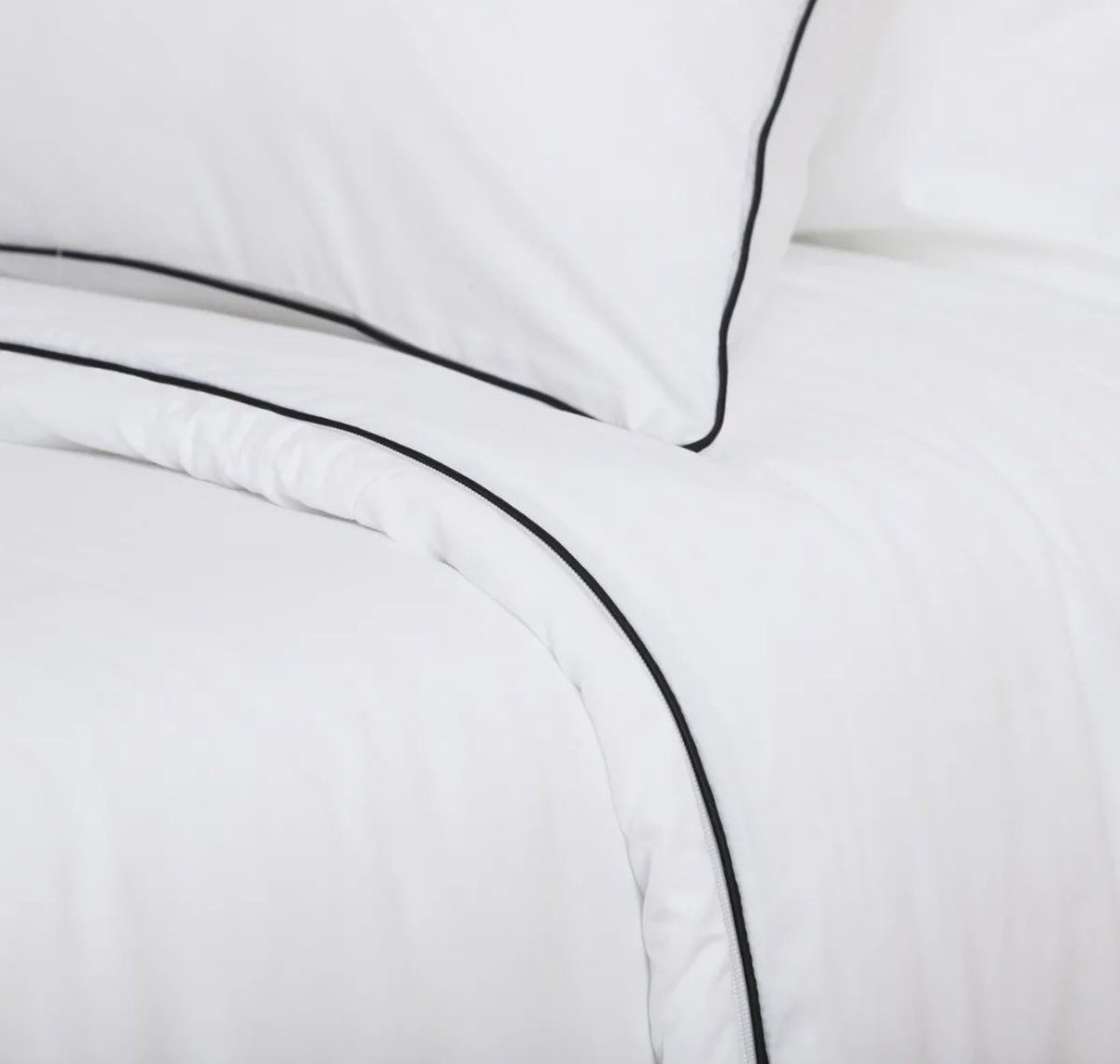 Juliana Coria tweet media