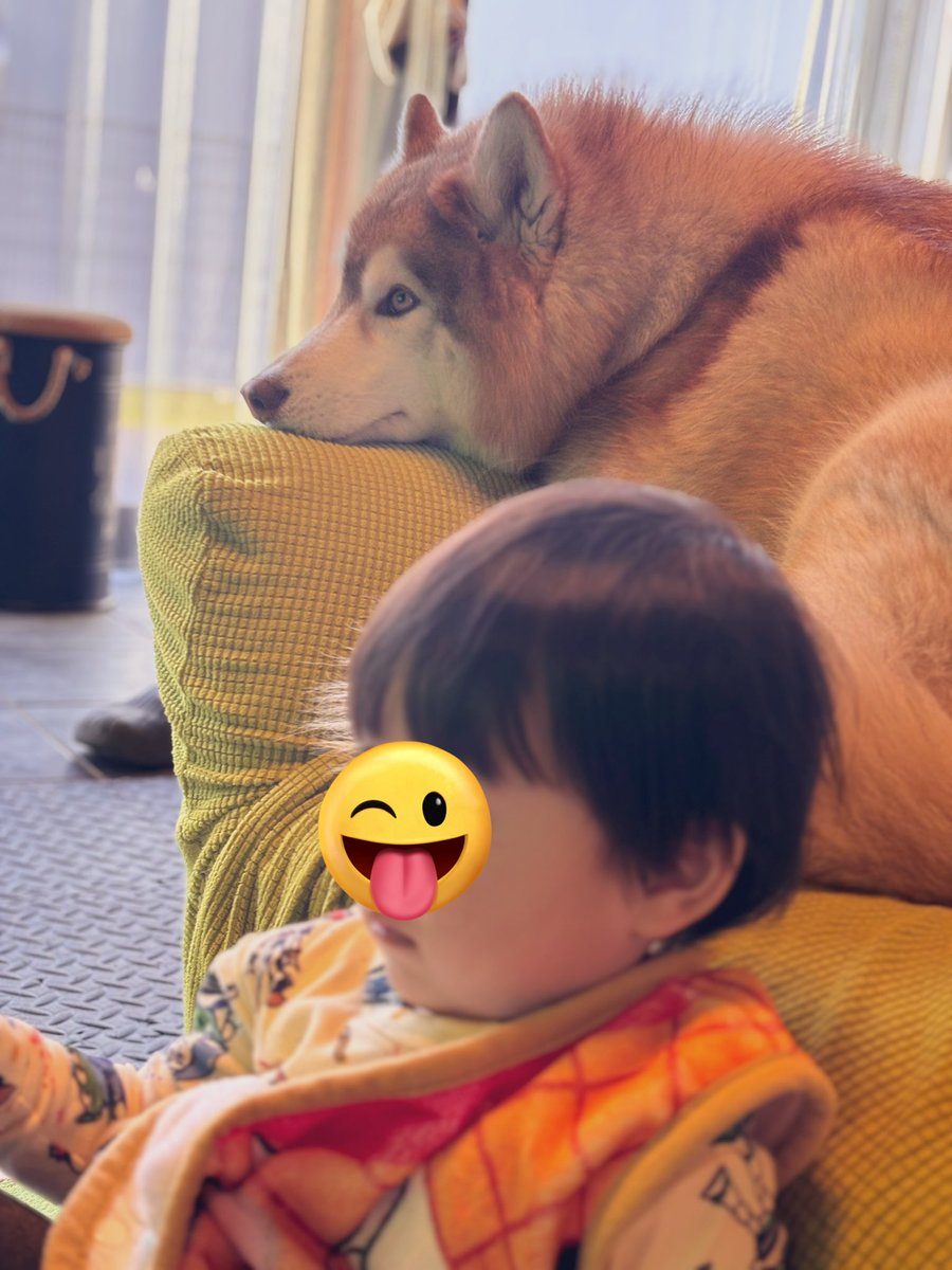 茶々丸チャチャチャ👐 (@chacha_maru1113) / Posts / X