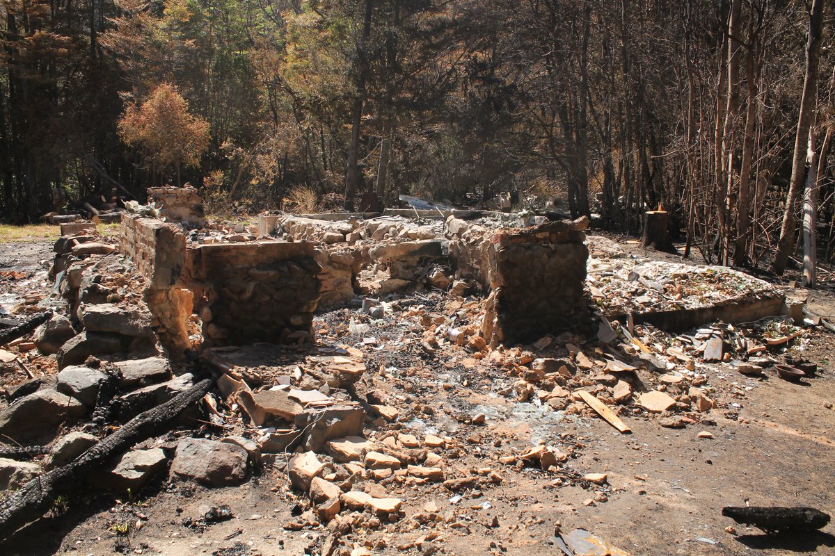 Mariela Gonzalez tweet media