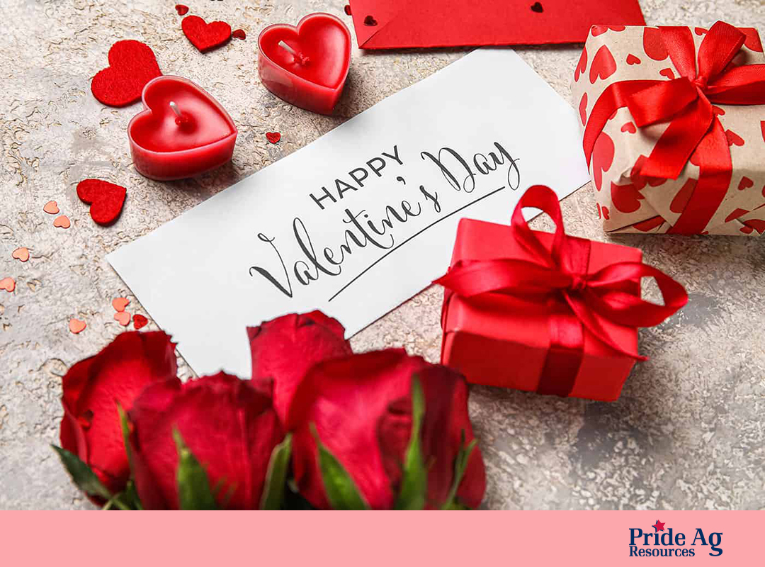 Wishing you all a Valentine's Day filled with love, warmth, and beautiful moments that become favorite memories.
