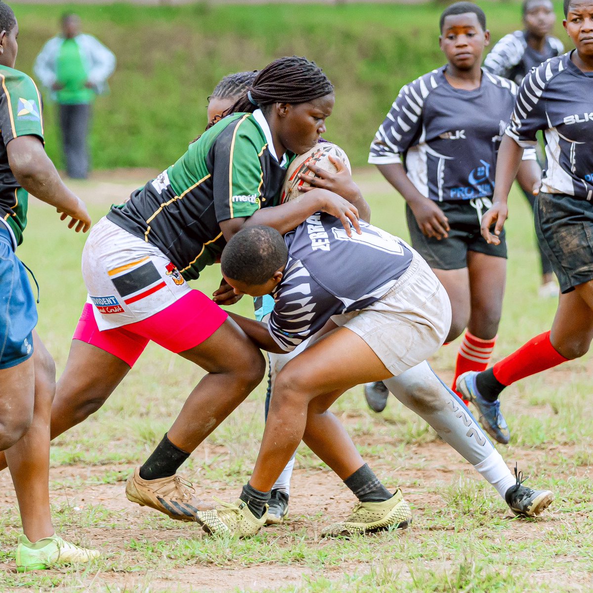 RugbyRwanda's tweet image. 🛑Live Update from Nyirangarama Stadium 

The 1000 Hills Women’s Rugby Team clinched the 15-Aside Championship title with a commanding 4️⃣1️⃣—1️⃣9️⃣victory over Ruhango Zebras Women RFC at Nyirangarama Stadium in Rulindo District.

#RwOT