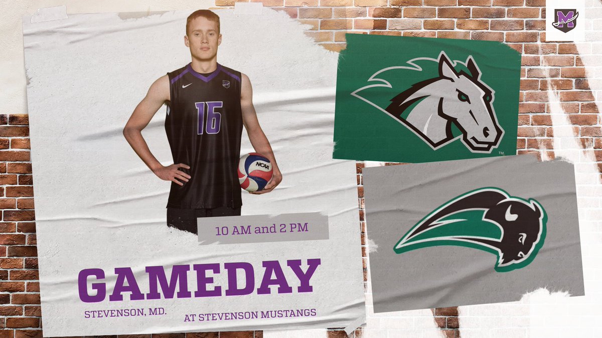 GAME DAY! The men will take on Nichols and Stevenson in a double header today! 

📍: Stevenson, MD
🕐: 10 AM and 2 PM
📺: team1sports.com/gomustangsport…
📊: gomustangsports.com/sidearmstats/m…

#GoMountGo