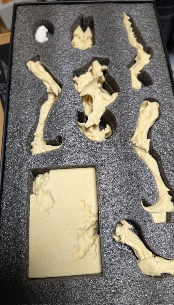 たかちん@製作代行Arsenal D.i 次回はとなモ6/13 🐈と🍜 tweet media