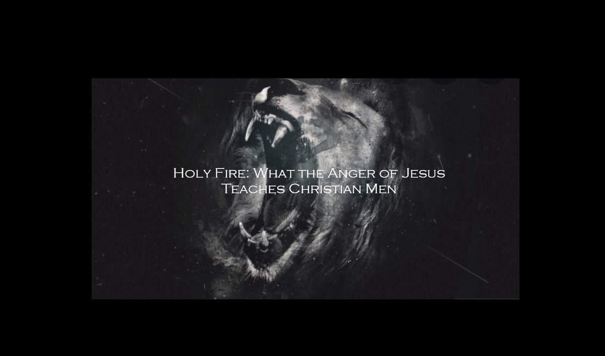 Many Christians do not understand the role of anger in our lives. Be angry and do not sin. My latest. menofgrit.com/2026/02/holy-f…