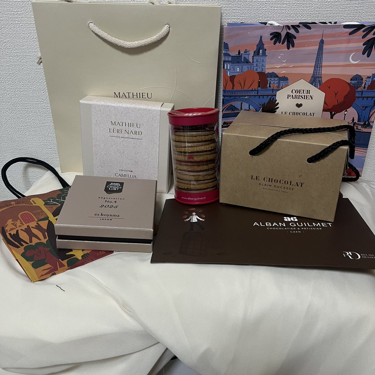 今年は職場の先輩がサロショの先行販売の抽選が当たって代わりに買ってきていただけたので毎年諦めていたインポートコーナーのチョコも買えました🍫
アルバンギルメのサブレが本当に美味しすぎて…🥹🥹🥹
マチュールルナールのコフレカメリアは衝撃的なお味(もちろんいい意味で)でした🥹