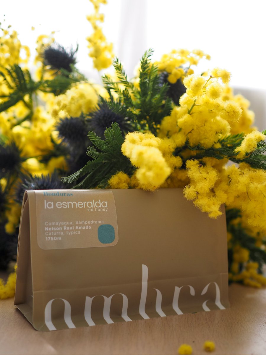 un beau bouquet de fleurs, un bon café et quelques rayons de soleil...rien de plus ❤️ #demoiamoi #selfcare