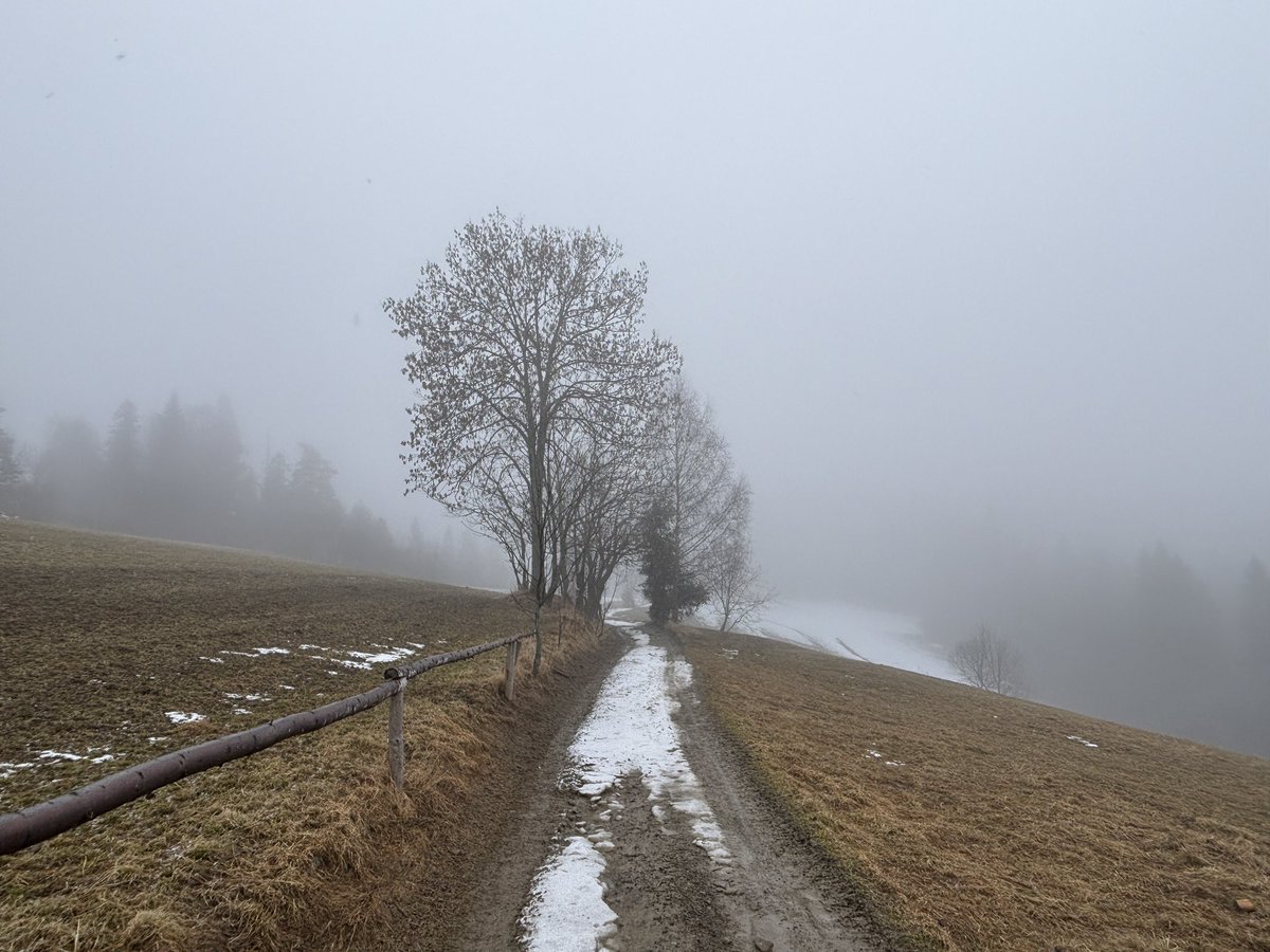 LasWolski's tweet photo. W drodze z Rabki na Maciejową. Im wyżej tym bardziej zimowo. Na drodze często mokry lód. Ślisko. Wskazane raczki i kijki.
#Gorce #Rabka #Maciejowa https://t.co/RJMn1SBsxM