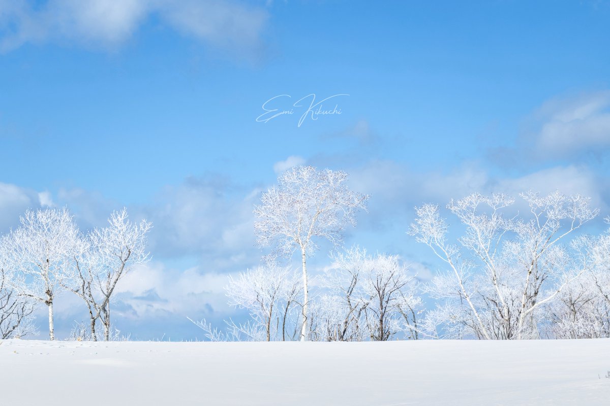 地球の息吹を感じる

ここは阿寒摩周国立公園❄️

#北海道 #弟子屈町 #摩周湖 #アトサヌプリ
#canon #japan #hokkaido