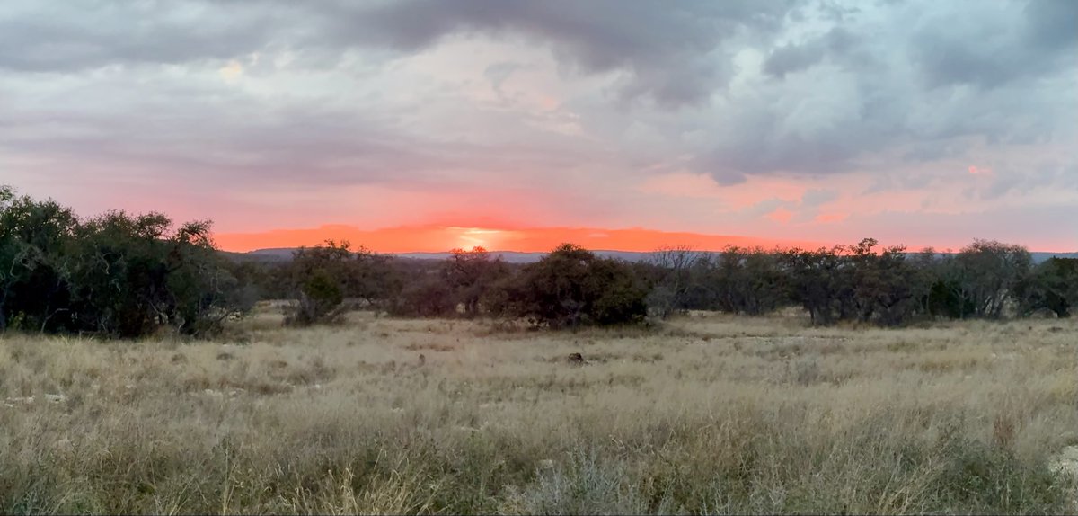 Sam Lunz tweet media