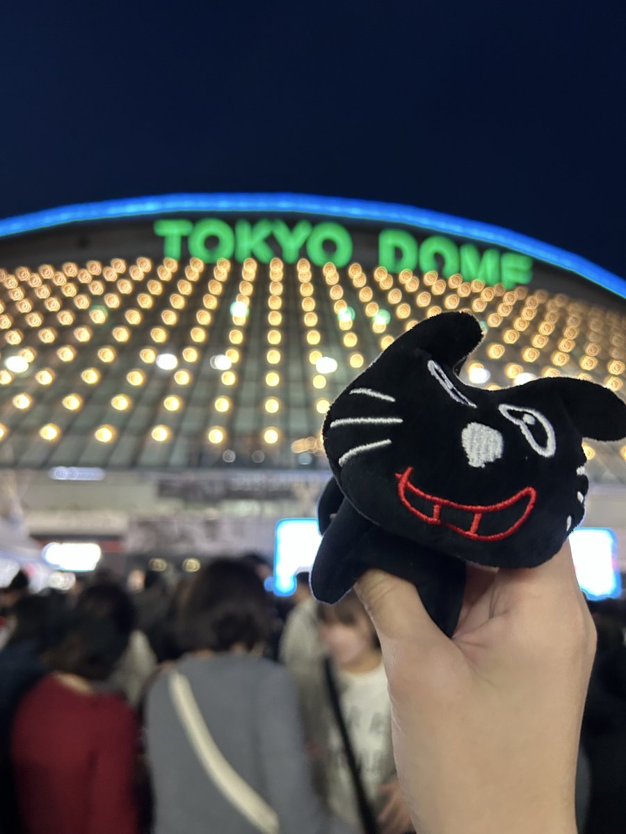 🌞🌞竜胆🌞🌞 tweet media