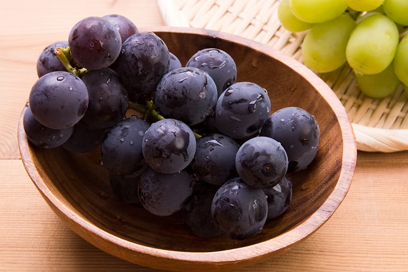 山里ぶどう農園 tweet media