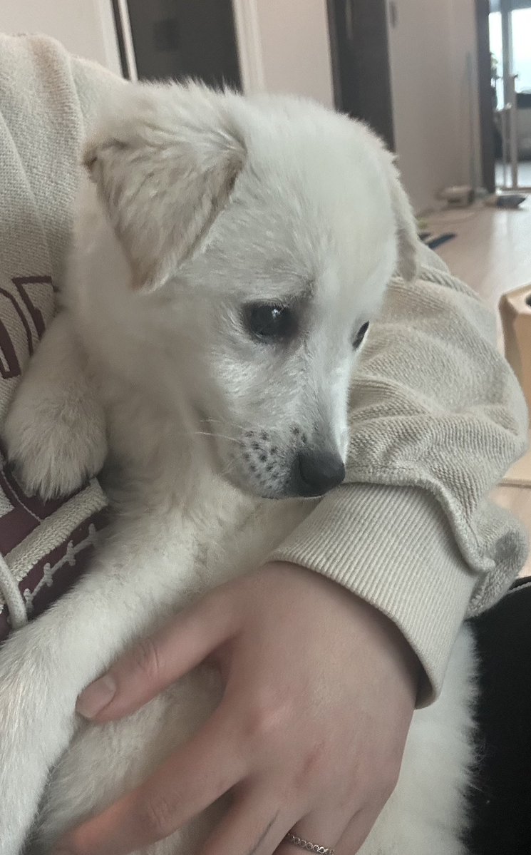 서러운 강아지

사유: 놀고싶은데 이모가 안고 안 놔줌