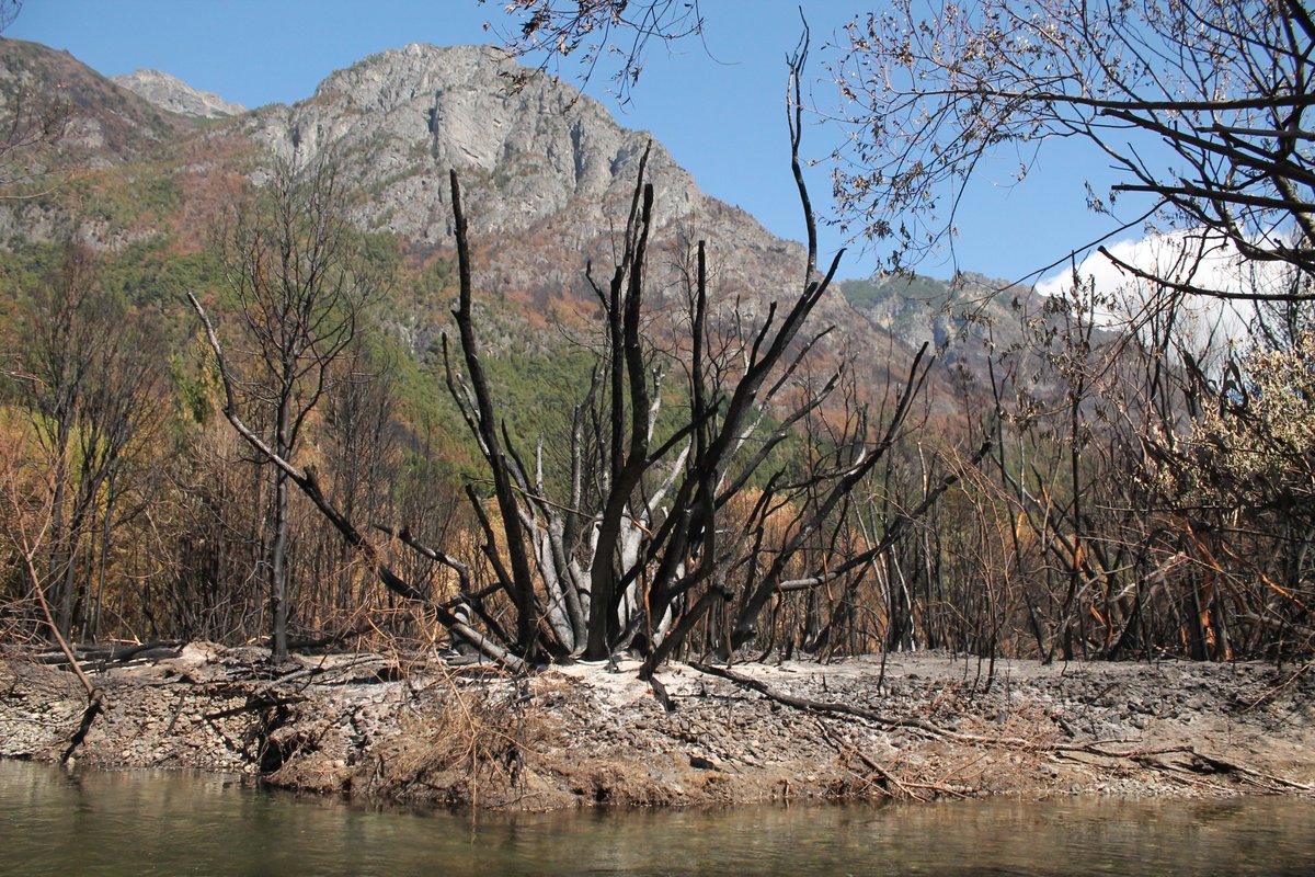 Mariela Gonzalez tweet media