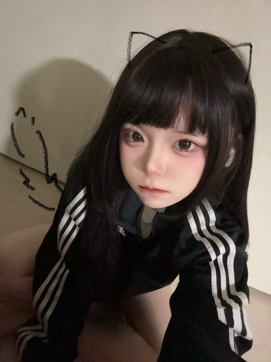 Post by はこ on X: にゃ