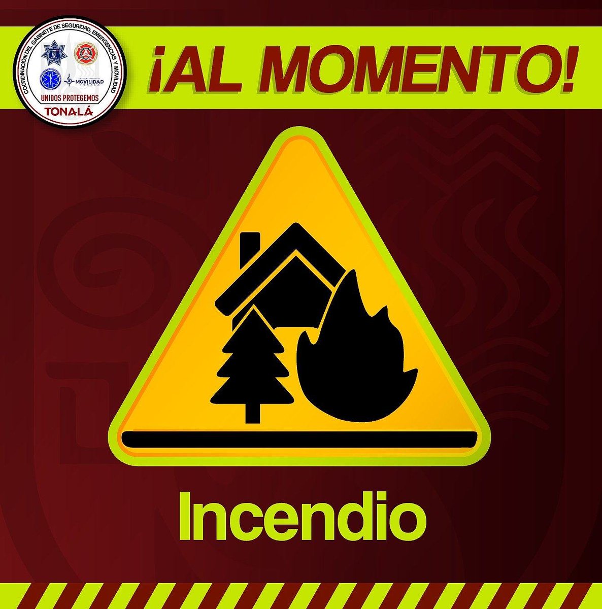 #AlMomento #PolicíaPreventiva #ProtecciónCivilyBomberos atienden reporte de incendio en el cruce de Iturbide y Calle Insurgentes en la colonia Pueblitos del Sol.

Tome vías Alternas y permita el paso a unidades de emergencia.