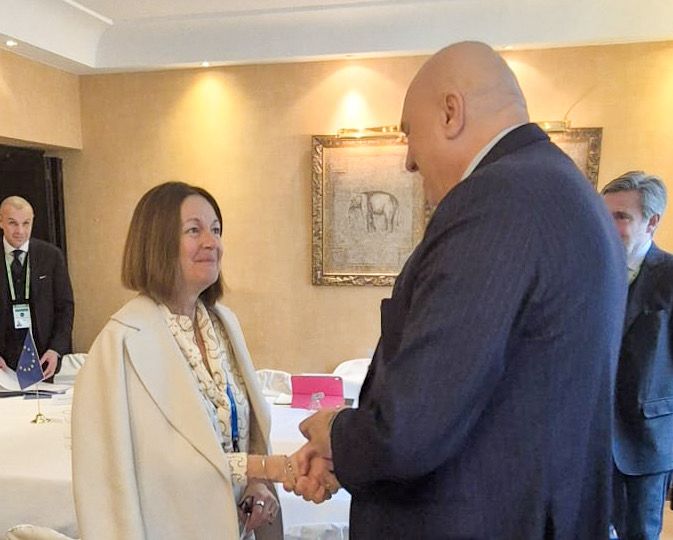 Ministero Difesa tweet media