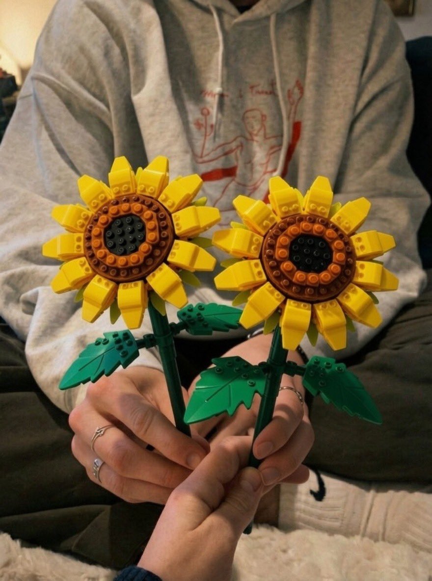 nocontextrakya's tweet photo. Senle…şöyle.. gündendi lego çiçek yapmak… https://t.co/57UenIf20V