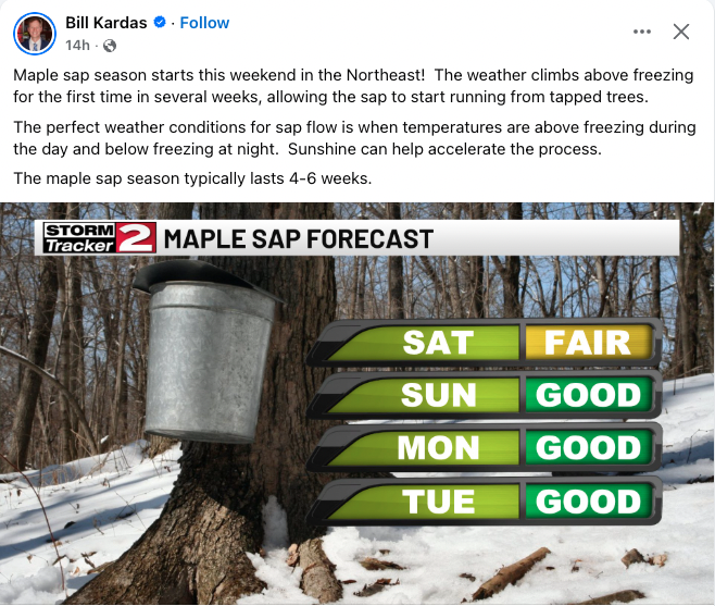 Seiurus's tweet image. Paging @DrAllyLouks: 

#Maple season coming in... cold, and then a bit warmer, and then cold again, and then like that for a few weeks. 

(My wife and I took *Maple Syrup Production* as a an elective in the 1980s. Yes, it was magical, and the boiling sap smelled heavenly.)
