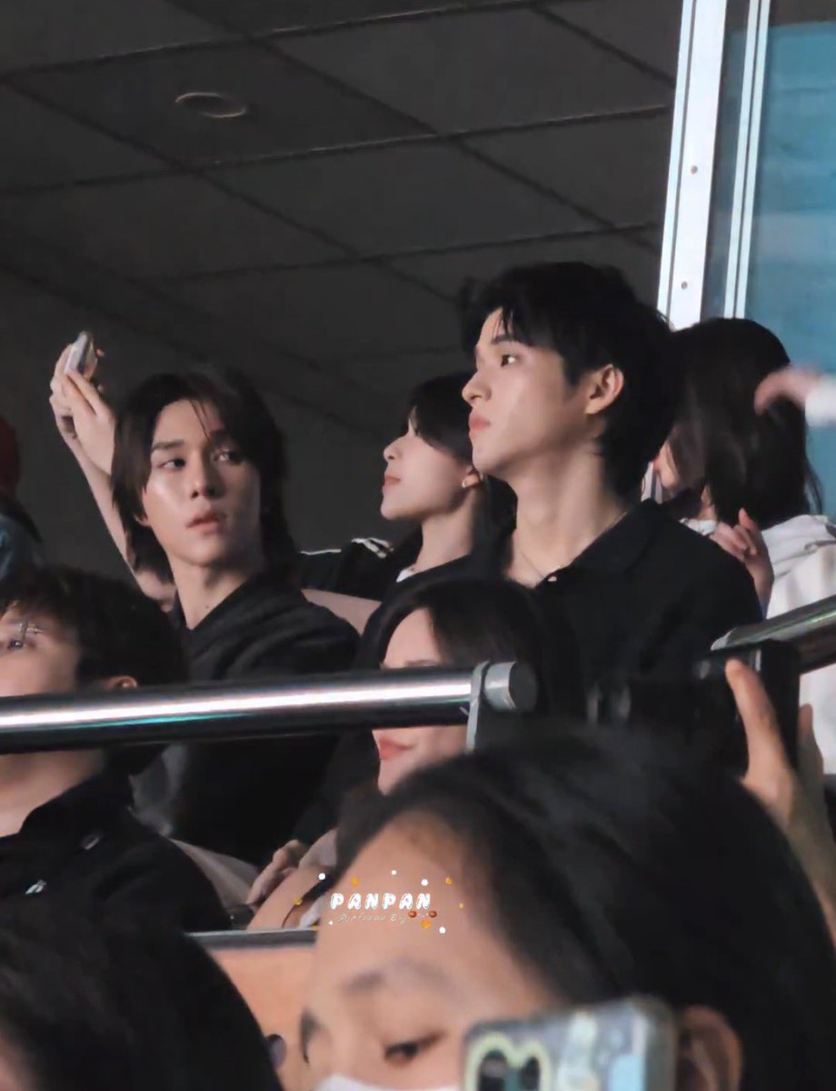 ใครเลิก ไม่ให้เลิก ขออนุญาตจัดแจงชีวิตดารานะ