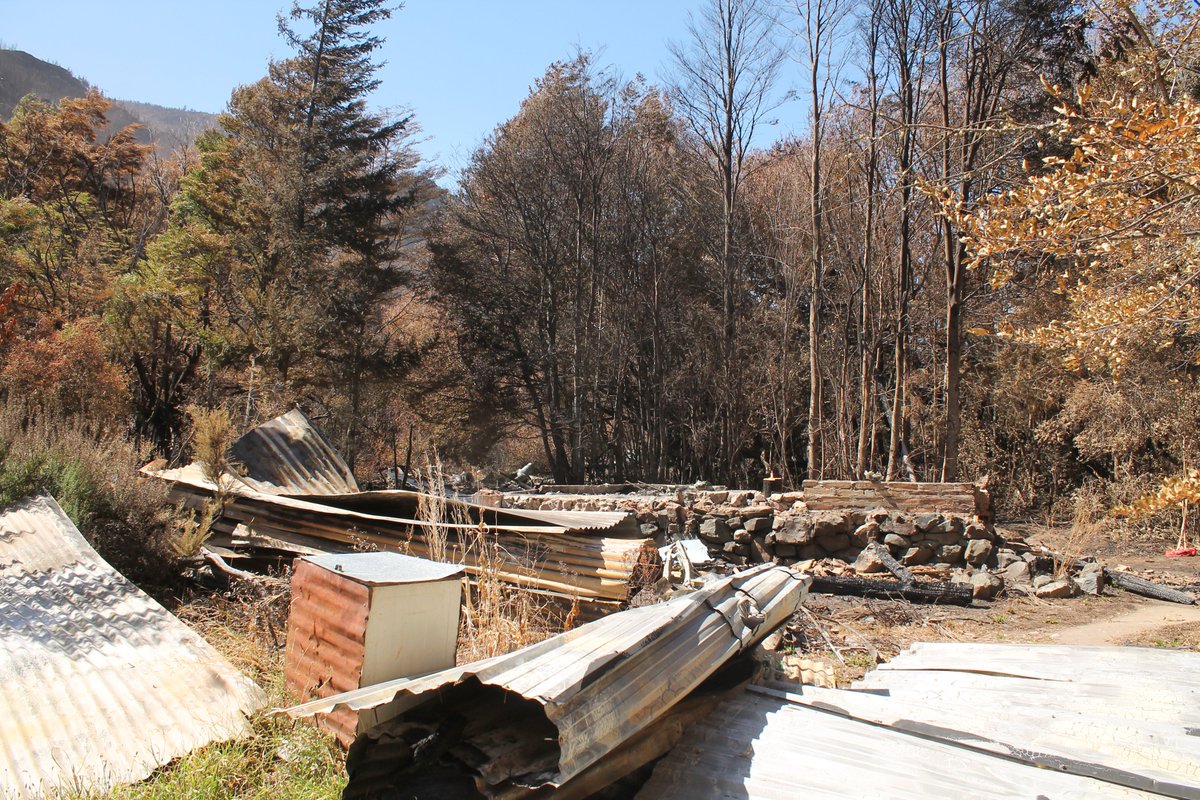 Mariela Gonzalez tweet media