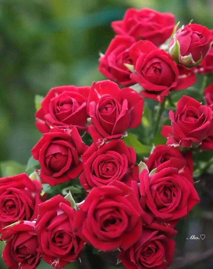 Felicidades a todos por el Amor y la Amistad.
#PorCamagueyTodo