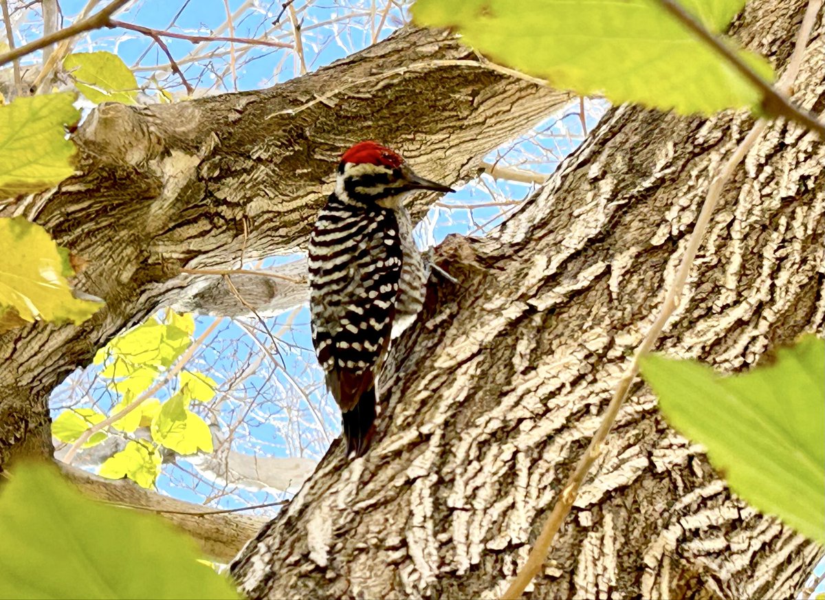 Kelli MacTaggart tweet media