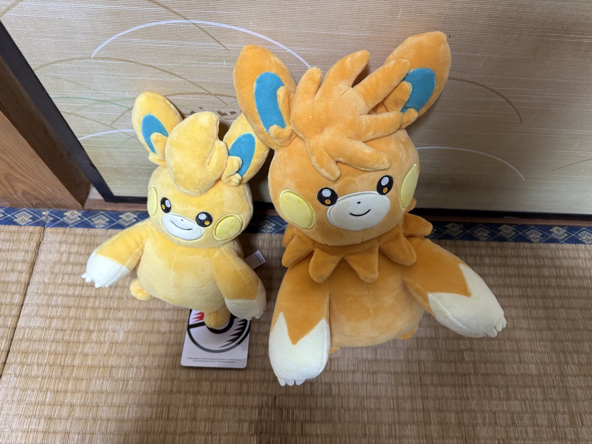 melon_time1's tweet image. 今日地元のポケセン行ってくじやったら、2つともA賞当たった！兎鞠の配信でパーモット2体って言っちゃったけどパーモットとパモットの2体でした(2つ選べたので)