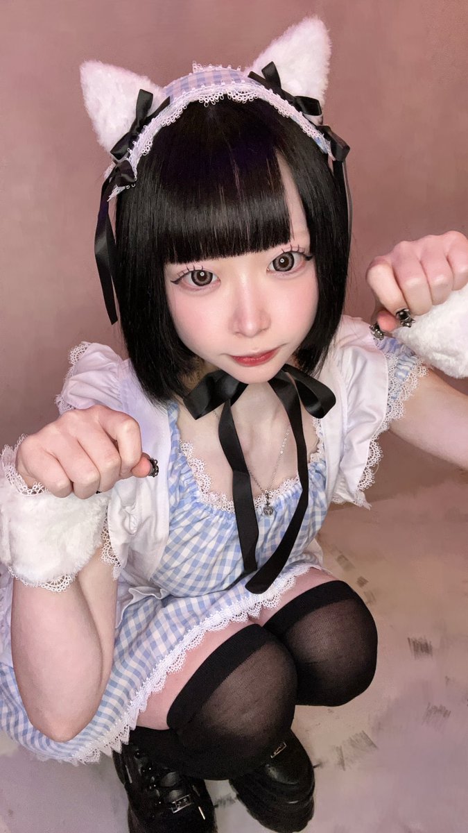 お家で怠惰にゃんこ🐈‍⬛がお出迎えしますよっと