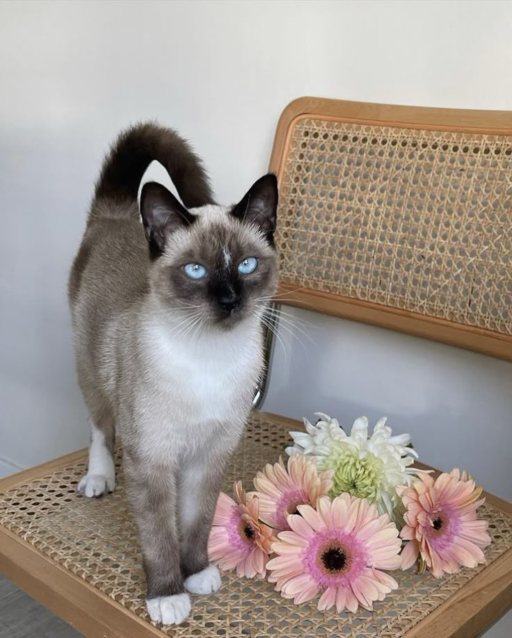 utowpias's tweet image. Loving you has been the sweetest part of my life, like a constant warmth I never want to lose.