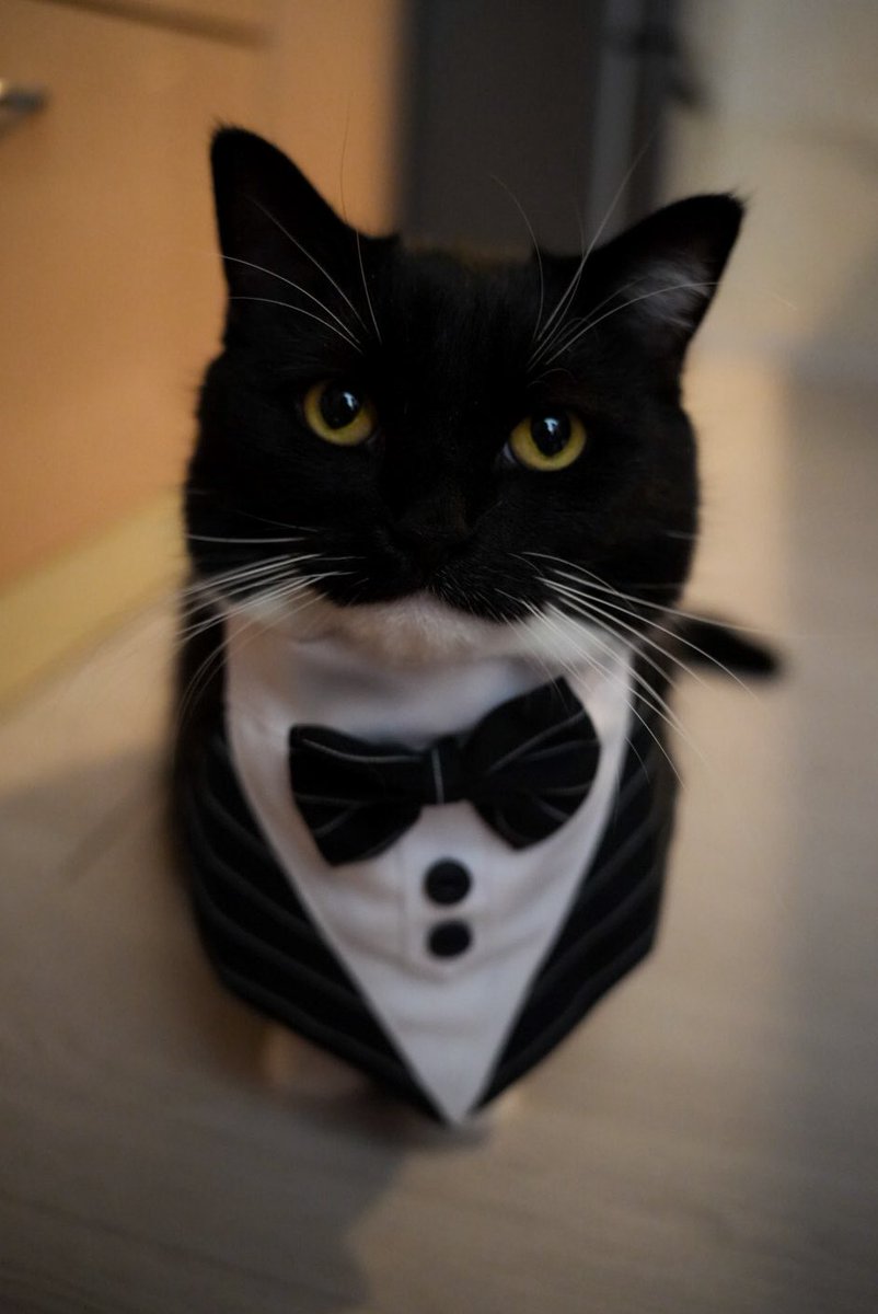 Will you be my valentine?