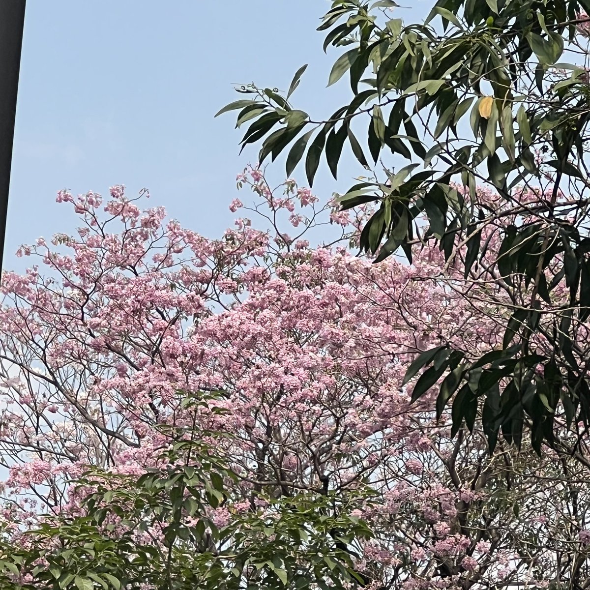 🇹🇭💜geejee💜🇹🇭 tweet media
