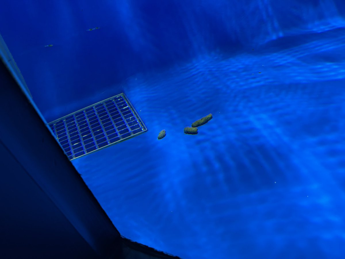 えもん tweet media