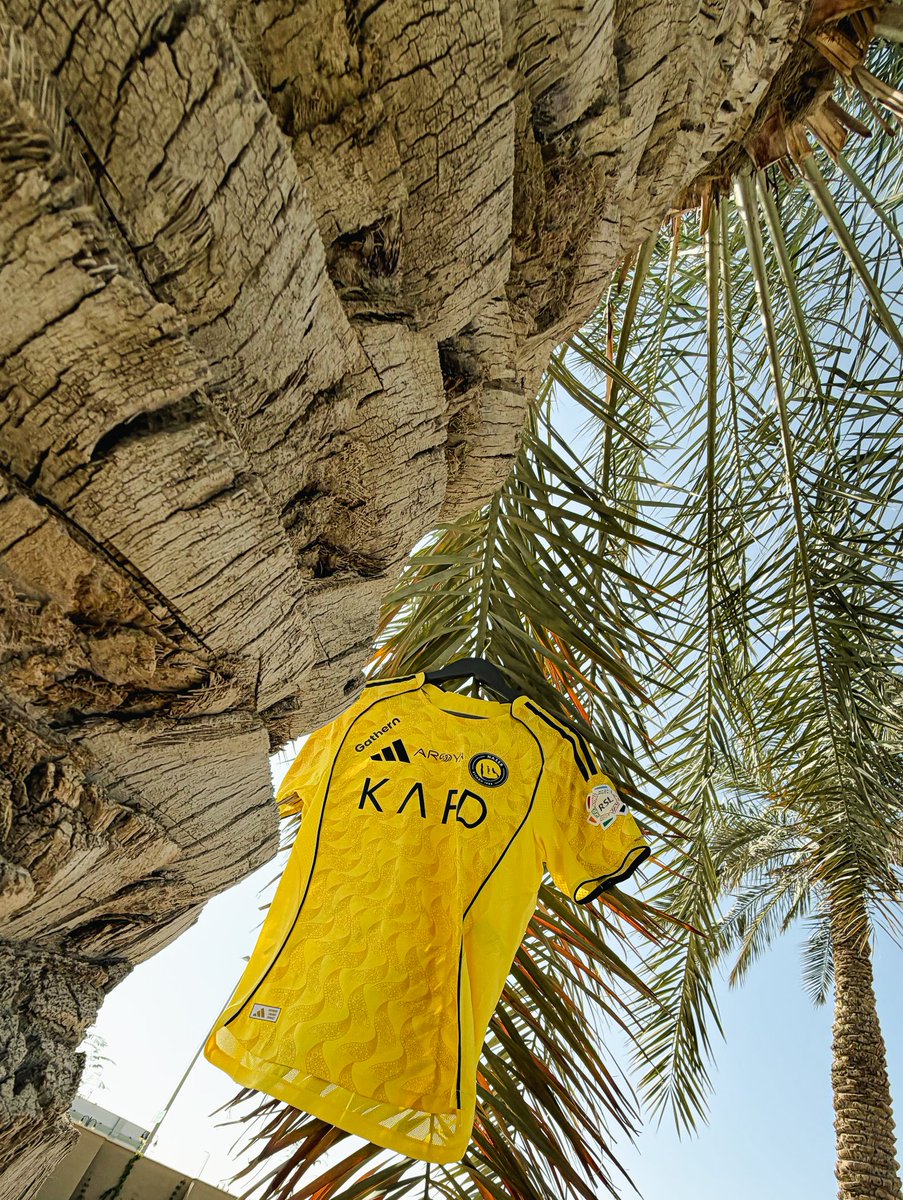 AlNassrFC's tweet photo. من نجـد جينـا .. إلى أرض الكـرم والنخيـل 🌴💛 https://t.co/wLc6O49gnE