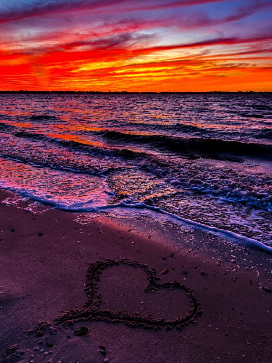 DiscoverMartin tweet media