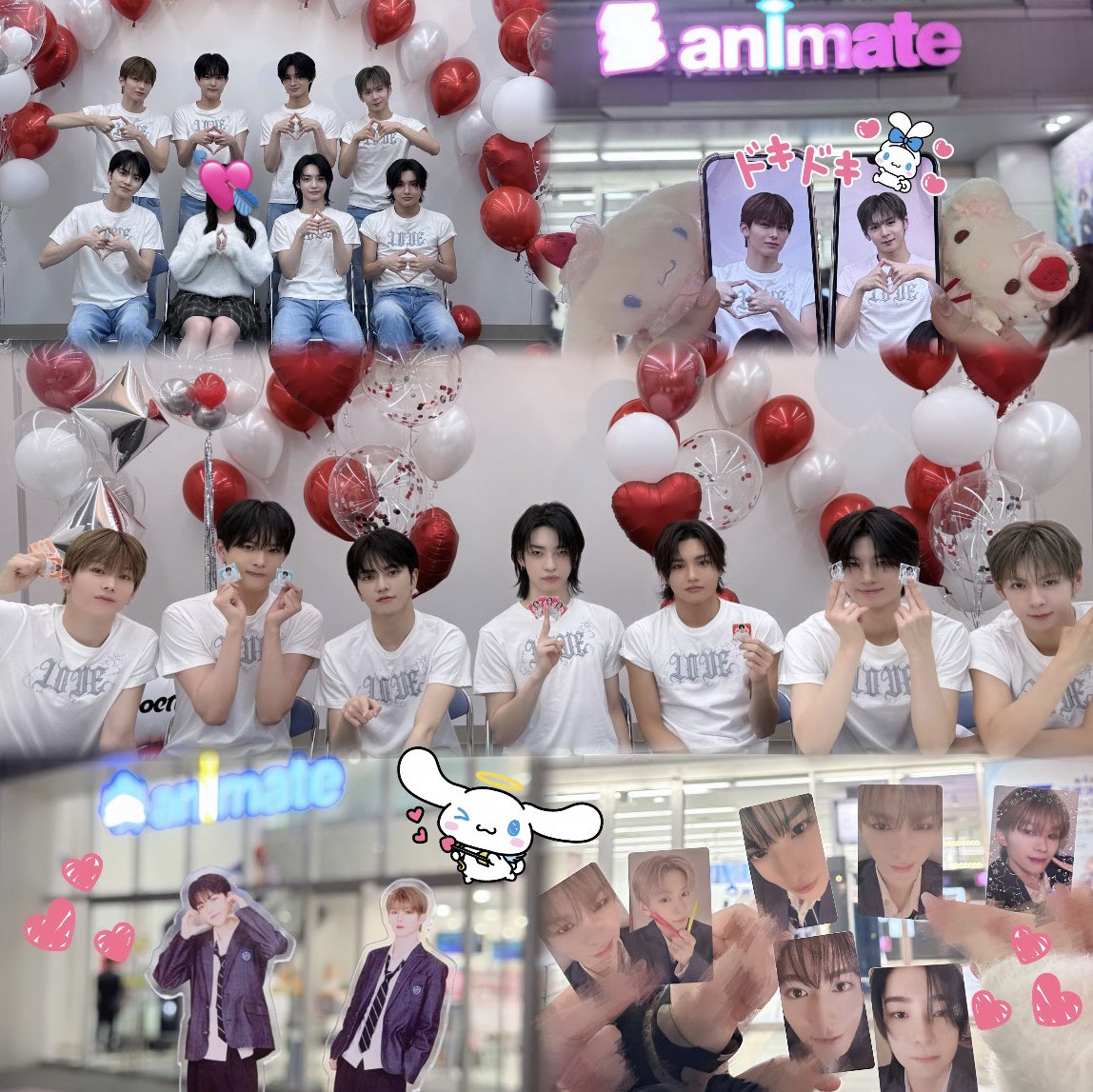 ♡260212♡ 秒で落ちたバレンタイン特典会 @アニメイト 京助だーーいす