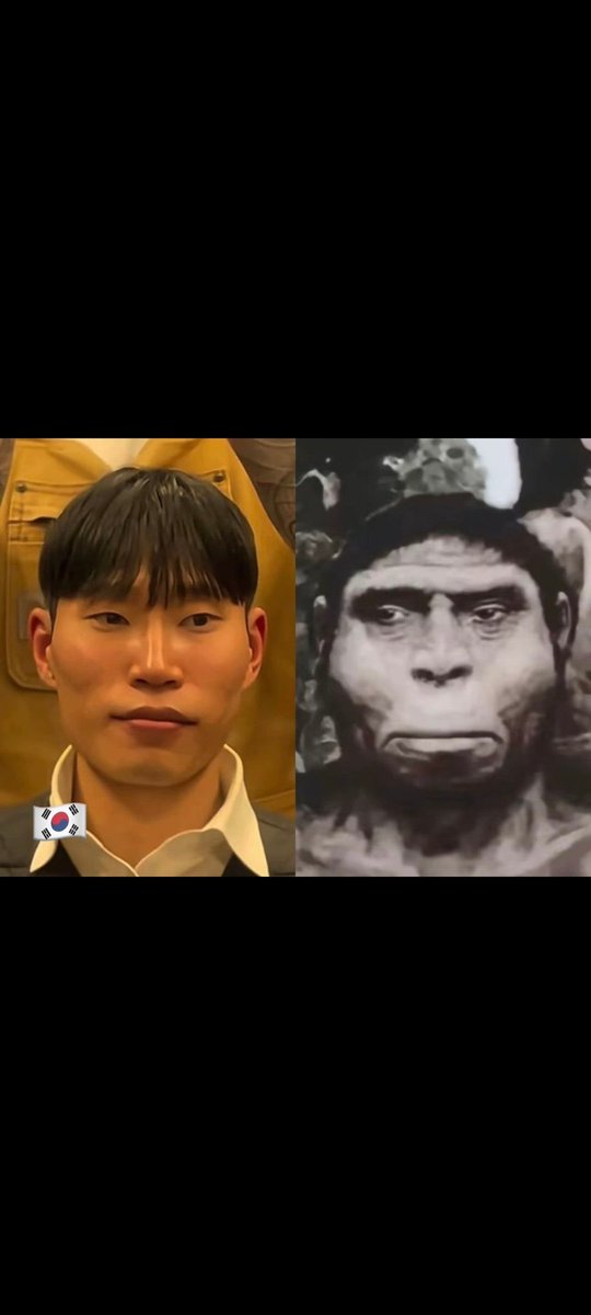 Seth060103's tweet photo. @bamb11bam beauty according to Koreans is the result of plastic 🥱🤪😝😛😜🤣 https://t.co/tQQuafnxW8